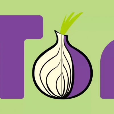 Using Tor bridges in hostile environments